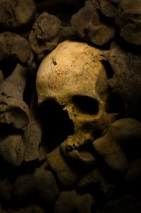 Skull at the Catacombs of Paris - Paris, France